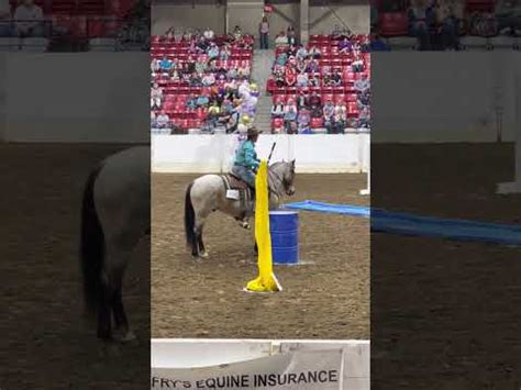 2023 Equine Affaire Brenda Hanson S Run YouTube