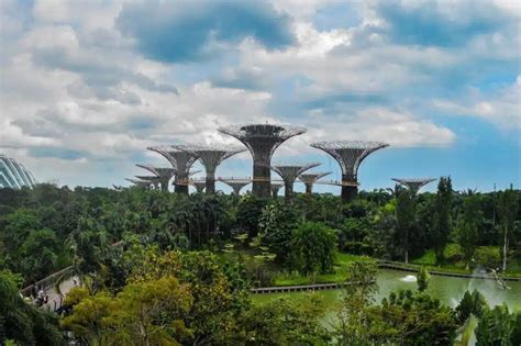 Les clés pour aménager un jardin écologique et respectueux de l