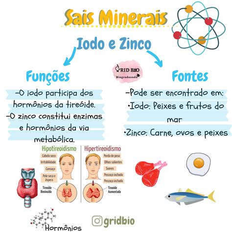 Os Sais Minerais Sao Reguladores E Desempenham Diversas Fun Oes