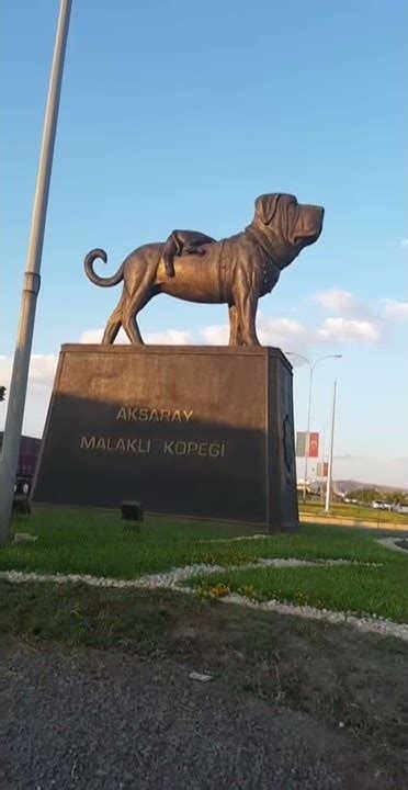 Aksaray Malaklısı Youtube