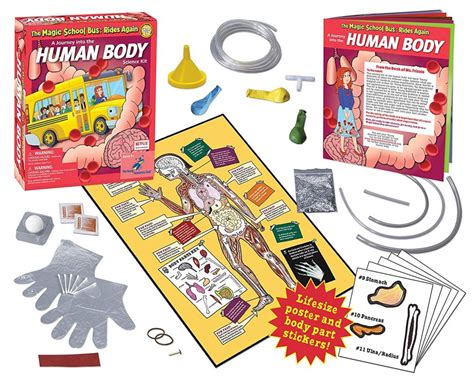 Magic School Bus Human Body | Learning to STEM