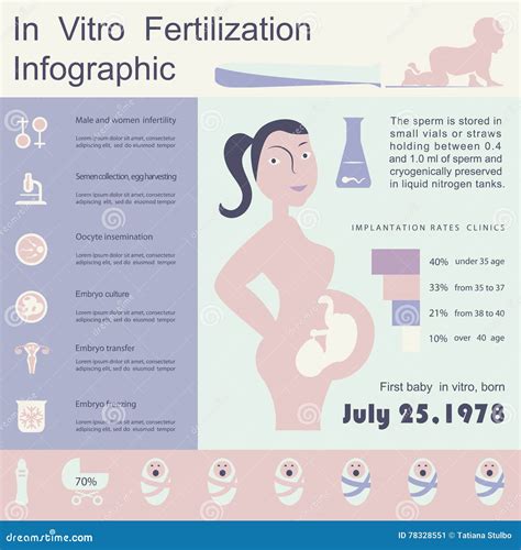 In Vitro Fertilization Infographic Stock Vector Illustration Of