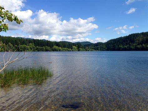 Lake Padden Park — Washington Trails Association