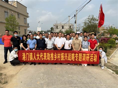 港门镇人大开展代表助推乡村振兴战略专题调研活动遂溪县人民政府公众网站