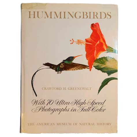 Hummingbirds With 70 Ultra High Speed Photographs In Full Color By