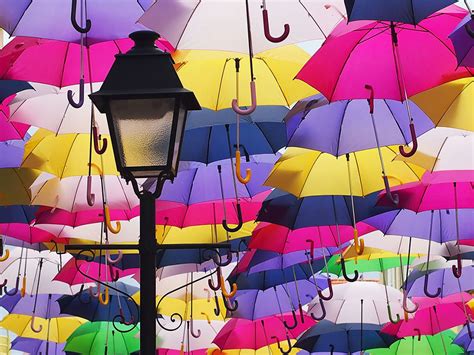 Hundreds Of Umbrellas Once Again Float Above The Streets In Portugal