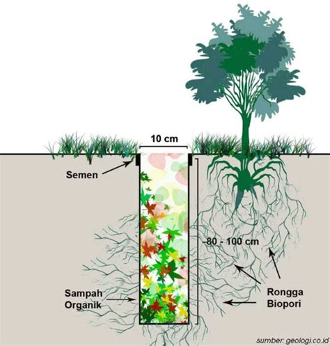 Cara Membuat Lubang Biopori - Sustaination