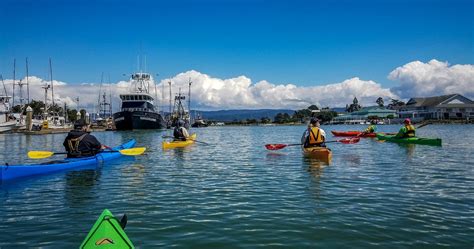 Humboldt Bay Kayak Tour - $79 Per Person - Cali Rick