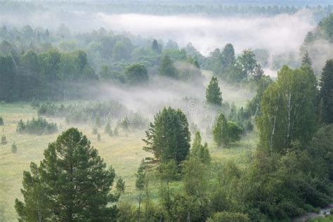 Beautiful Misty Dawn In The Nature Park Stock Photo Image Of Morning