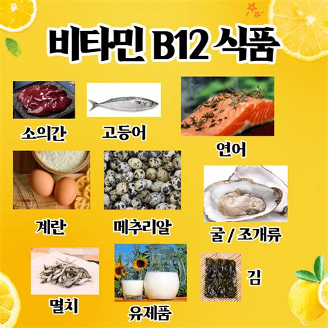 비타민b 비타민b12 효능 비타민b음식 부족증상