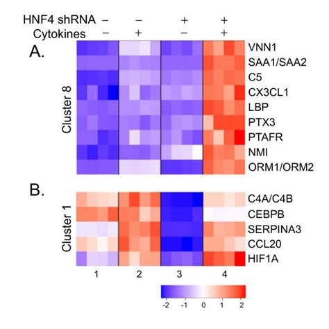 Sequence Logos Of Ets Transcription Factor Binding Sites Sequence