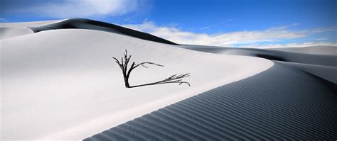 Sand Dunes Wallpaper 4k Lone Tree Desert Blue Sky