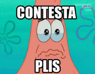 Contesta Plis Patricio Contesta Contestame Discover Share Gifs