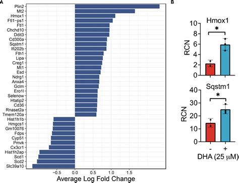 Frontiers Single Cell Analysis Of Docosahexaenoic Acid Suppression Of