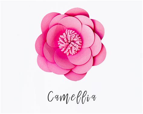 Camellia Paper Flower Templates Silhouette Cutting Files Wedding