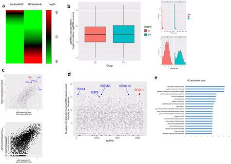 Genome Wide Crispr Screen Reveals Sgol As A Druggable Target Of