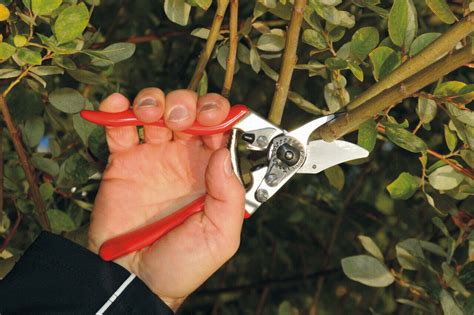 Felco 6 Compact Swiss Made One Hand High Performance Pruning Shear