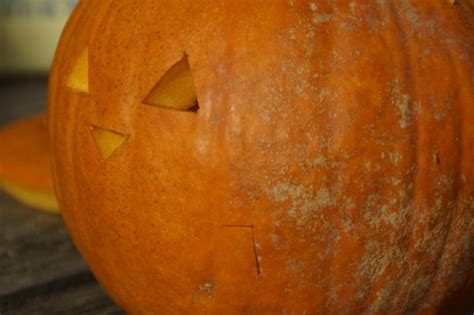 Free Images Fall Orange Produce Autumn Pumpkin Halloween Smiling Jack O Lantern Face