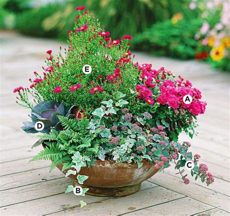 Stunning Plant Combination Ideas For Container Gardens Container