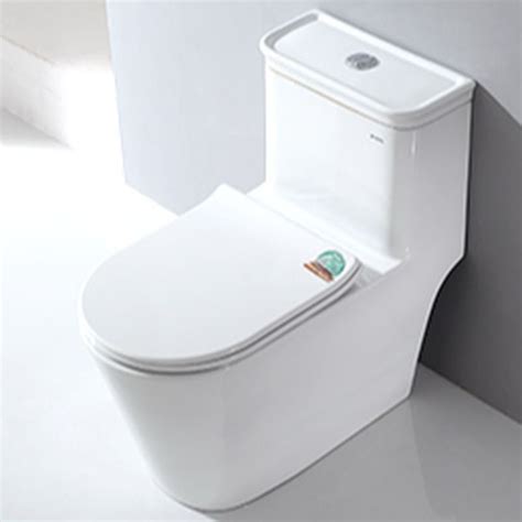 Modish Chalk One Piece Toilet With Super Vortex Siphon Flush