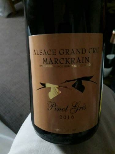 Lidl Pinot Gris Alsace Grand Cru Marckrain Vivino US