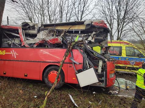 Wypadek Autobusu Szkolnego Pod Ostrorogiem Pojazd Uderzy W Drzewo