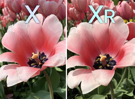 Что лучше айфон икс или икс эр