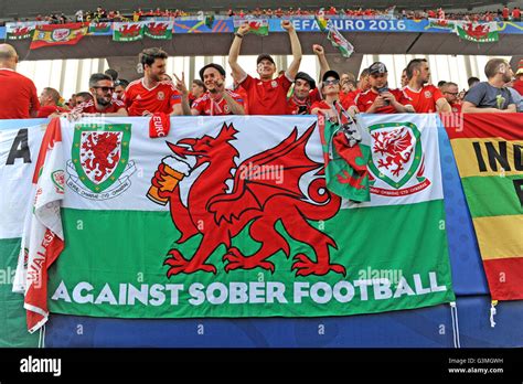 Welsh Fans Celebrate Victory Hi Res Stock Photography And Images Alamy