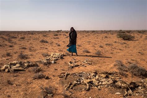 Somalia Somalia Pide Ayuda Internacional Ante Una Grave Sequía Que