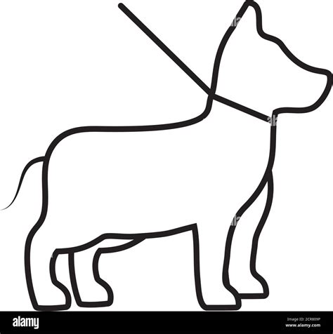 Dog On Leash Icon Over White Background Line Style Vector