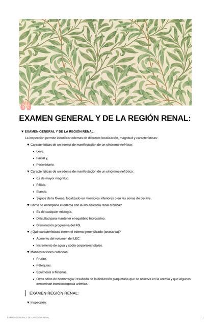 Examen General Y De La Regi N Renal Luis Esquivel Pe A Udocz