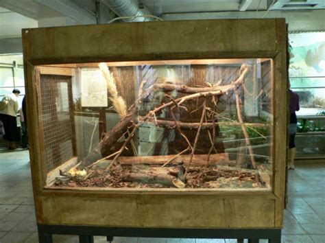 Terraario.net: Tallinnan eläintarha 2009, Osa I