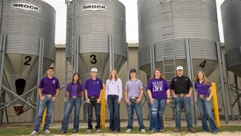 completed  ongoing projects college  ag  natural resources