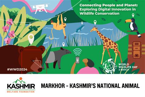 Celebrating Markhor in Kashmir on the UN’s World Wildlife Day - Kashmir
