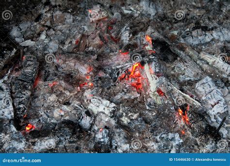 Glowing Embers Stock Photo Image Of Fire Ashes Fuel 15446630