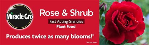 Miracle Gro Rose And Shrub Fast Acting Granules Plant Food 3kg Uk Garden And Outdoors