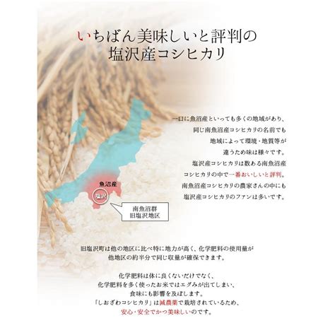 新米 令和5年度産 お米 こしひかり コシヒカリ 南魚沼産 武右衛門 無洗米2kg 新潟産 新潟県産 農家直送 魚沼産 塩沢産 評価特aランク