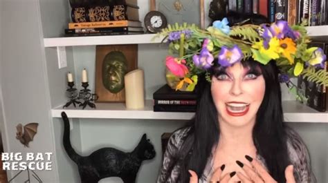 Elvira Parodies Carole Baskin In Big Bat Rescue Video