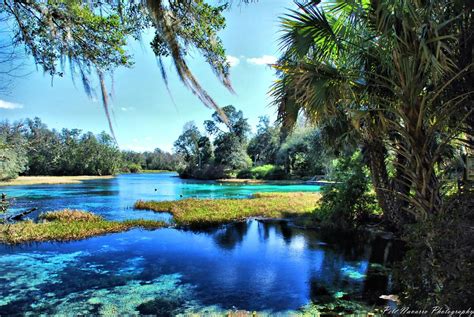 Rainbow River, Dunnellon Florida | Vacation books, Outdoor deck ...