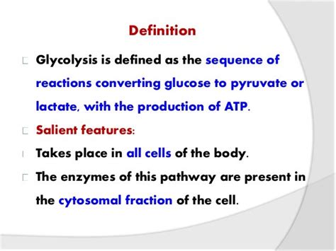 Regulation Of Glycolysis Ppt