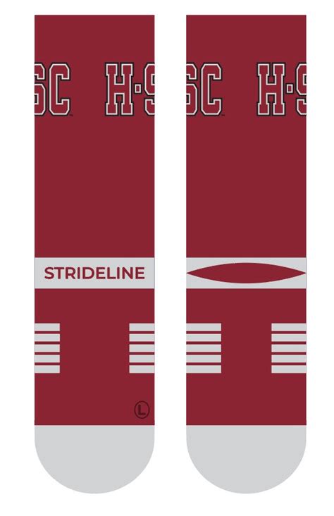 Hampden Sydney College Premium Knit Crew Primary Logo School Color