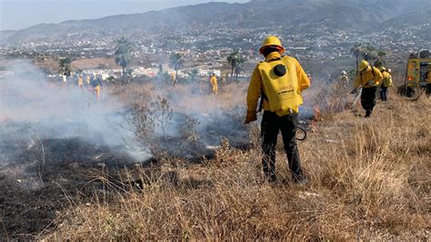 Guerrero Registra Una Menor Cantidad De Incendios Forestales En