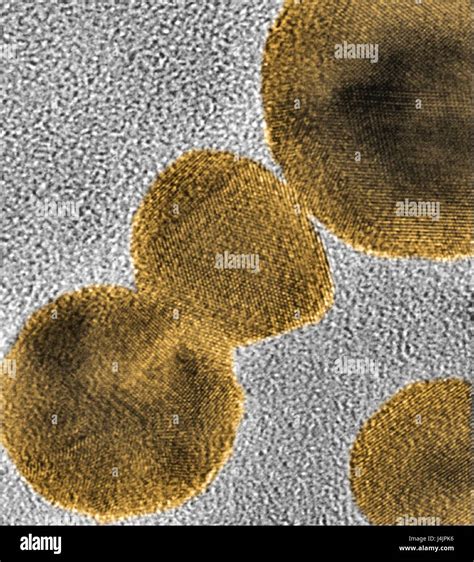 Gold Nanoparticles Coloured Transmission Electron Micrograph Tem Of