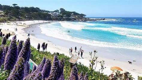 Experience The Carmel Beach Walk: A Tranquil Coastal Journey