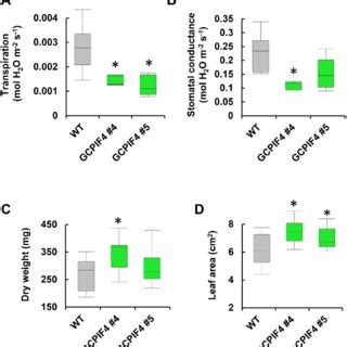 Elevated Expression Of Hy In Guard Cells Of Arabidopsis And Tobacco