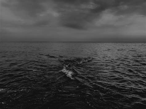 black sea pictures   images  unsplash