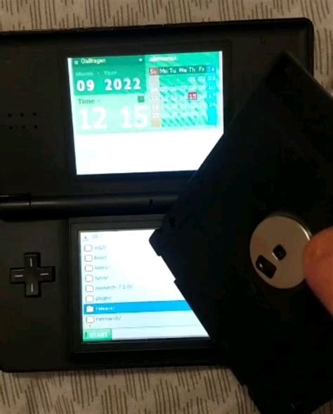 Finally got an R4 card for my ds lite! : r/NintendoDS