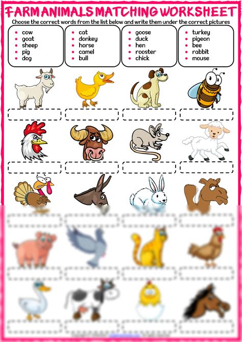 Solution Farm Animals Vocabulary Esl Matching Exercise Worksheet For