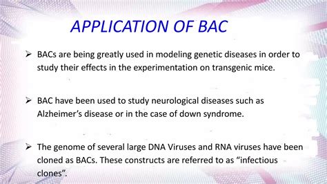 bacterial artificial chromosome & yeast artificial chromosome | PPT