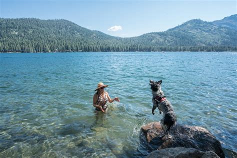 12 Things To Do In Lake Tahoe In Summer Lake Tahoe Donner Lake Lake Tahoe Summer